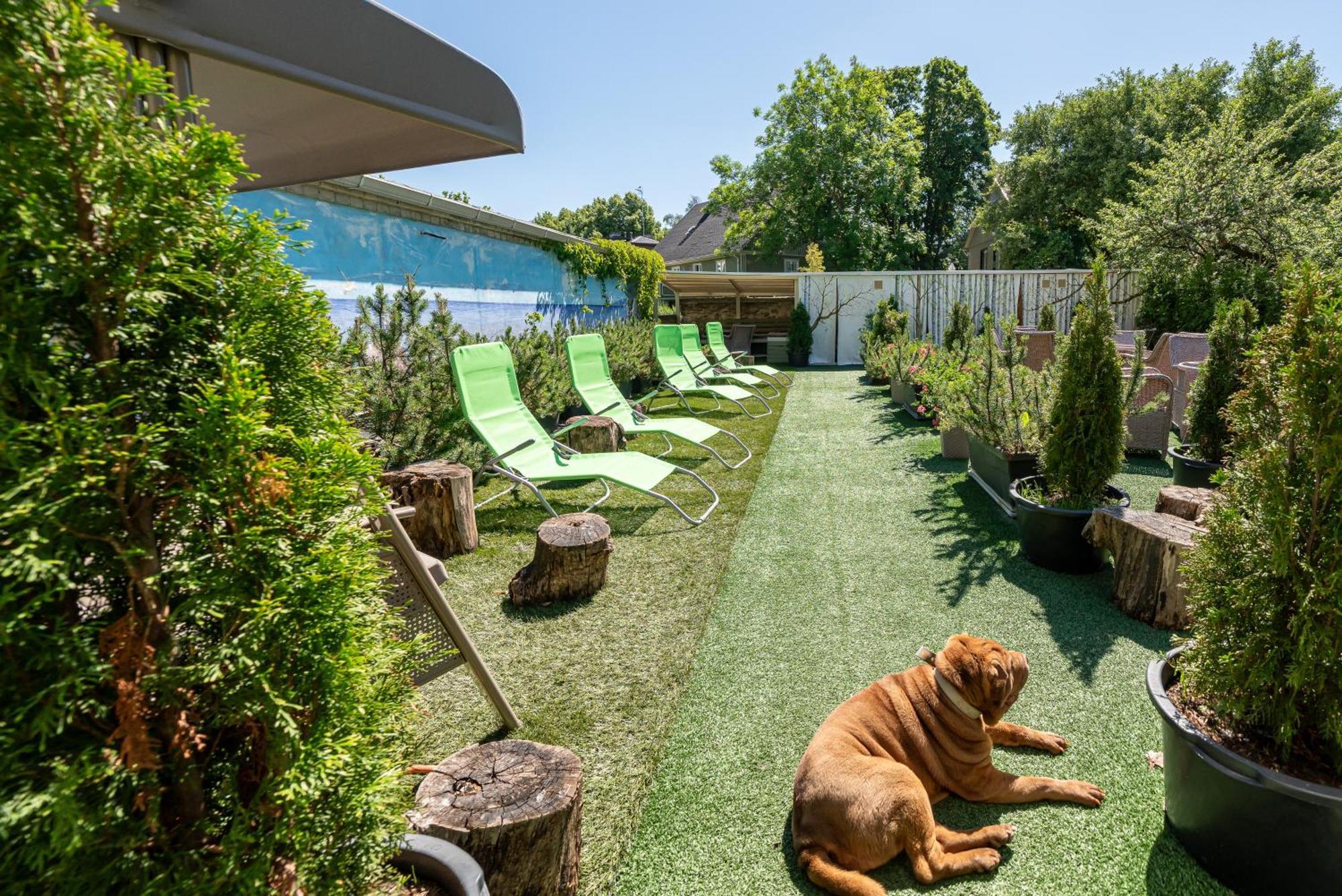 Garden Camping Tallinn Bagian luar foto