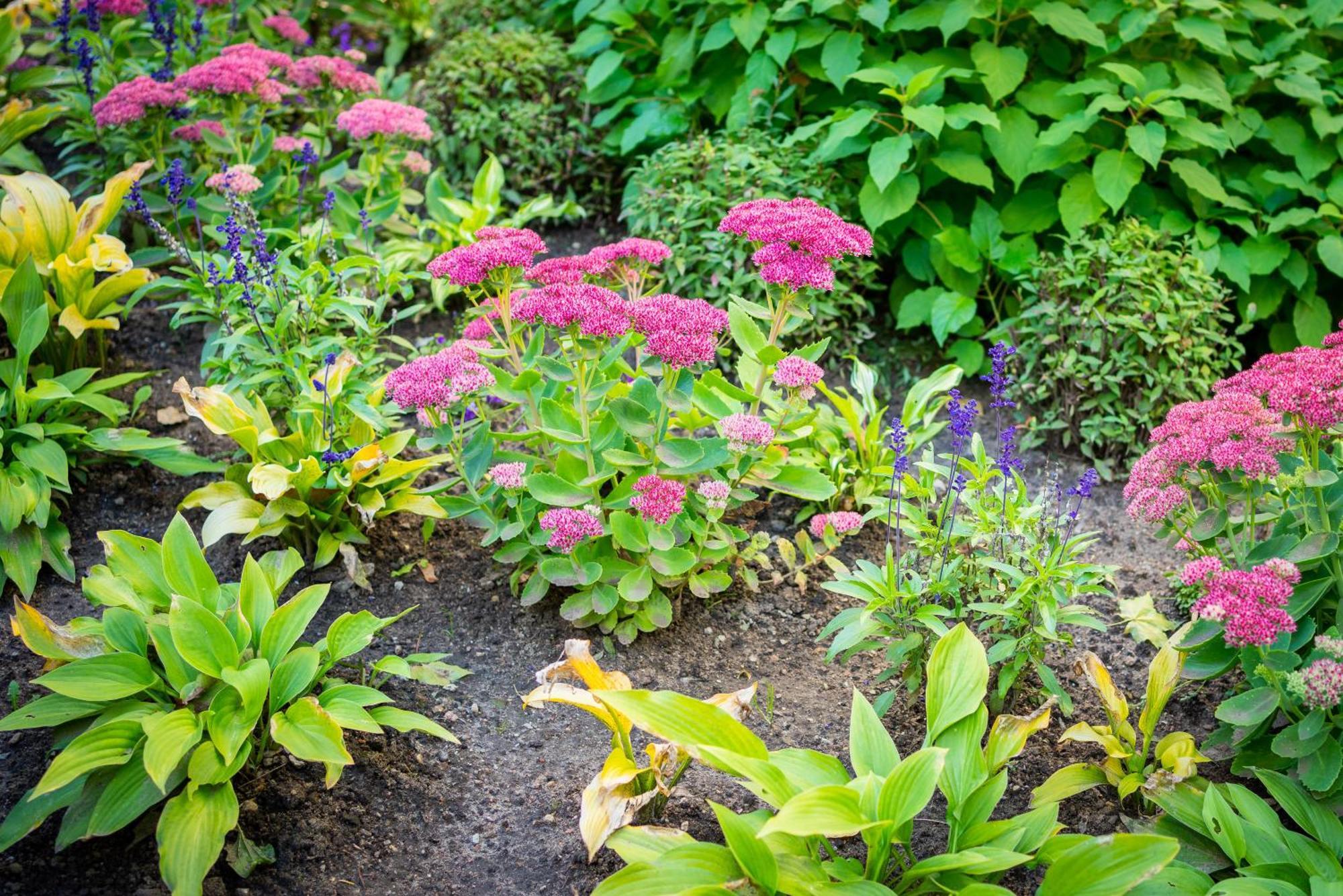 Garden Camping Tallinn Bagian luar foto