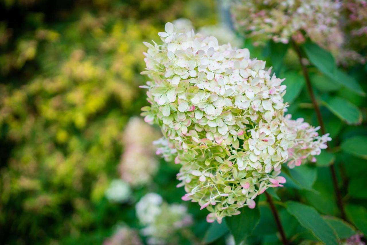 Garden Camping Tallinn Bagian luar foto